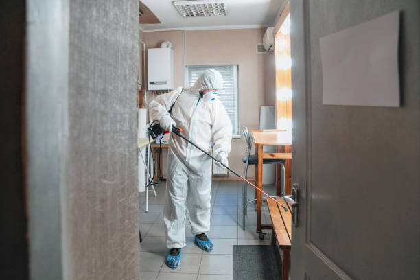 Mold Remediation for Rental Properties in Du Quoin, IL