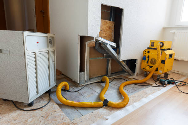 Mold Remediation for Vacation Homes in Du Quoin, IL